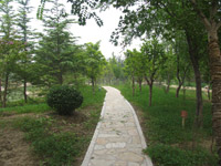 ̫�O�������^(q��)