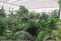 �������(n��i)���B(t��i)�@֦���~ï�ļ��紺