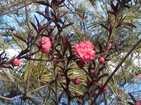 ̫�O�²����O(sh��)�乫˾���쾰ɫ