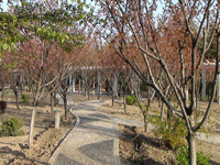 ̫�O��@��ɫ��̫�O�²����O(sh��)�乫˾