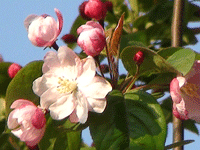 ̫�O��@��ɫ��̫�O�²����O(sh��)�乫˾